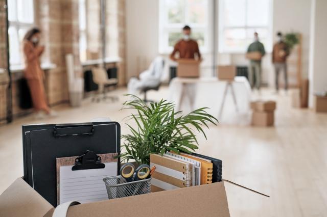 7 Reasons Businesses Choose a Moving Company for Office Relocations cover picture