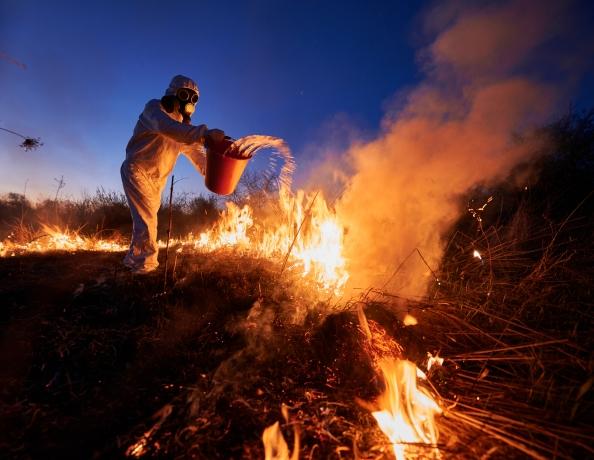 Red Beard Cutting and Clearing: Expert Wildfire Mitigation and Hazard Tree Removal in Minnesota cover picture