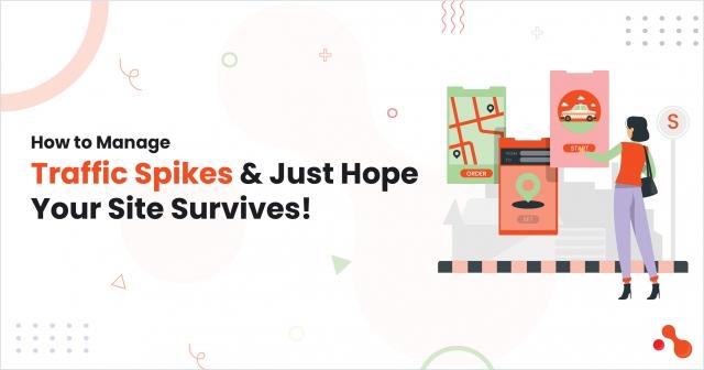 How to Manage Traffic Spikes and Just Hope Your Site Survives! cover picture