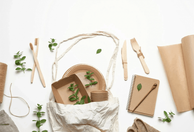 Innovative Sustainable Packaging Solutions: Transforming the Future of Eco-Friendly Packaging cover picture