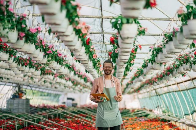 Exploring the Benefits of THCA Flower Wholesale: A Comprehensive Guide for Retailers cover picture