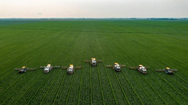 Is a Masters in Agribusiness Right for You? cover picture