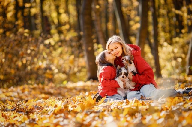 Changing Seasons: How to Embrace Autumn cover picture