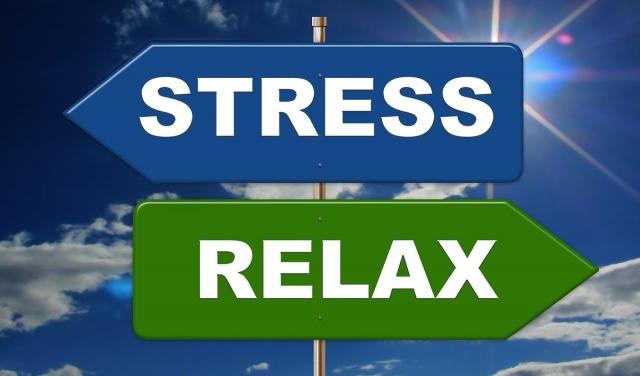 A stress conference in Amsterdam cover picture