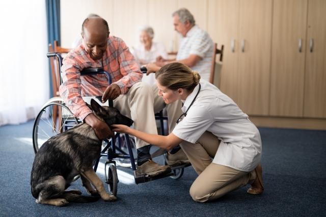 How an Emotional Support Animal Can Help You Through a Terminal Illness Diagnosis cover picture