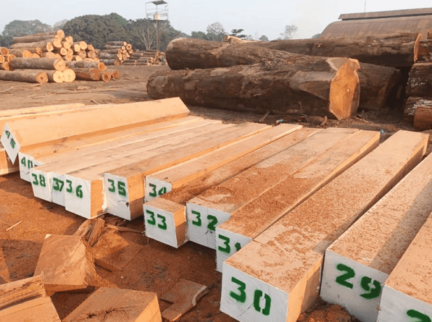 The Comprehensive Guide to Timber Wood: Properties, Uses, and Sustainable Practices cover picture