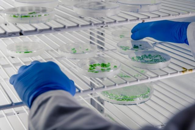 Applications of Purge Trap GC in Environmental Labs cover picture