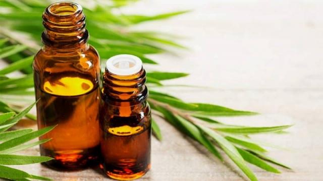 The Secrets of Ancient Remedies: How Essential Oils Have Been Used for Centuries cover picture
