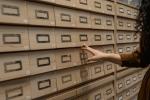 3 Tips for Creating a Data Catalog Specific to Your Business cover picture