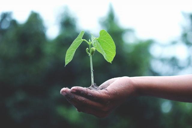 Getting Your Garden Ready for the Summer: 6 Things You Shouldn't Forget cover picture