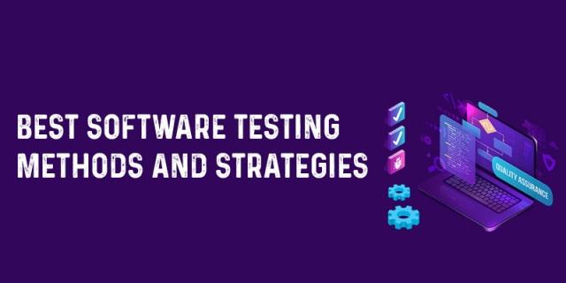 Application software testing techniques and strategies cover picture