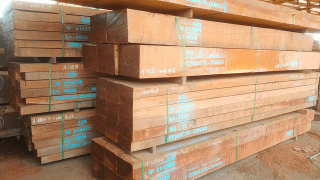 The Strength and Sustainability of Azobe Wood: A Comprehensive Guide for Global Construction and Marine Applications cover picture