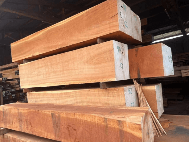 Jatoba Wood: The Ultimate Guide to One of Nature’s Hardest and Most Beautiful Woods cover picture