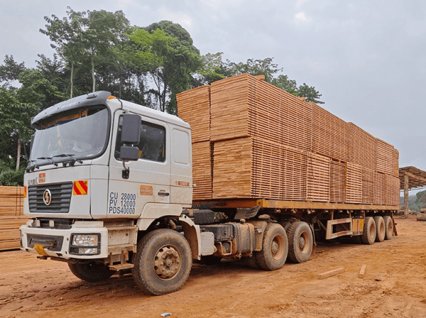 Unlocking the Versatility of Okoume Wood: Properties, Uses, and Advantages cover picture