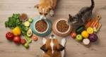 Why Pet Nutrition Deserves the Same Attention as Human Nutrition cover picture