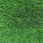 sydney artificial grass synthetic turf installation office block cover picture