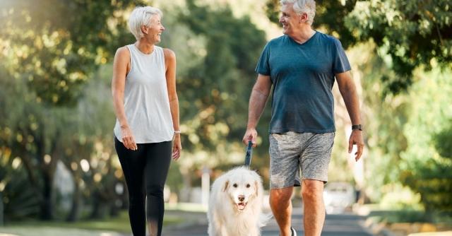 Accessible and Fun Exercises for Seniors To Try cover picture