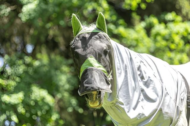 The Ultimate Guide to Choosing the Ideal Summer Horse Rugs cover picture