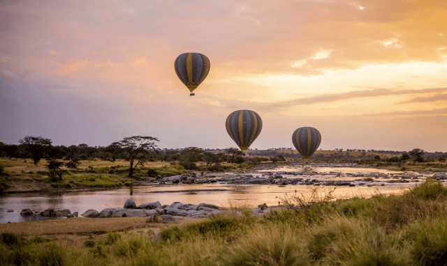 The Great Safari Circle: Serengeti Plains, Maasai Warriors & Uganda’s Giants: cover picture