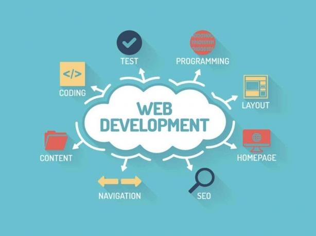 Reasons You Should Hire a Professional Web Development Company cover picture