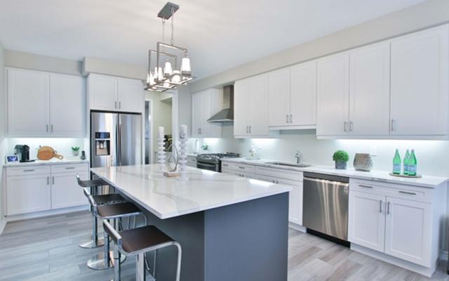 Things Nobody Tells You About Kitchen Renovation cover picture
