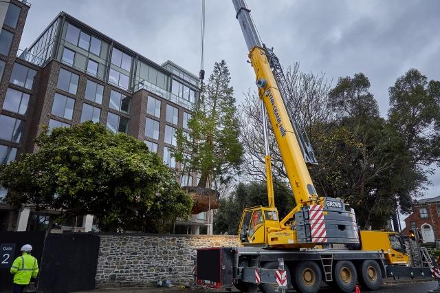 Under Construction: How Construction Inspection Software Is Powering Global Real Estate & Infrastructure cover picture
