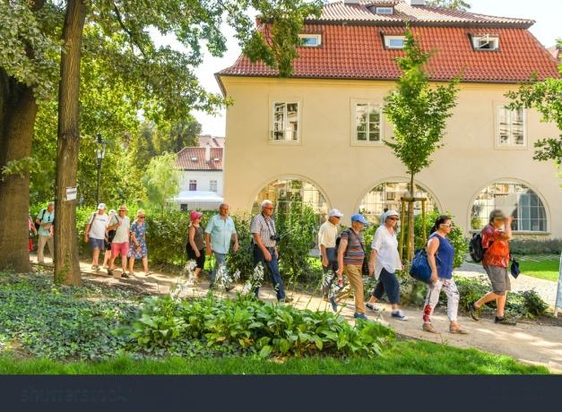 Botanical Paradise: Exploring Nature's Beauty on Enchanting Garden Tours cover picture