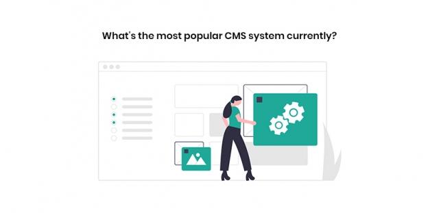What's the Most Popular CMS System Currently? cover picture