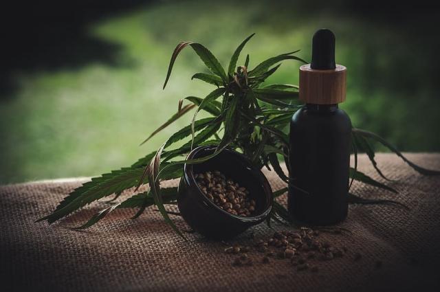 Finding Balance with Holistic Wellness Retreats in Dallas cover picture