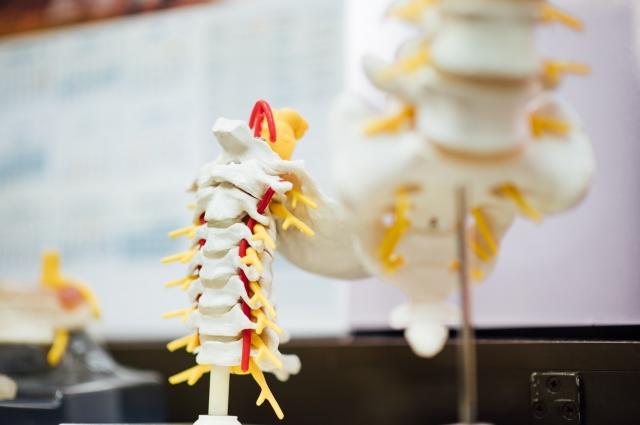 Things to Know About Herniated Discs cover picture