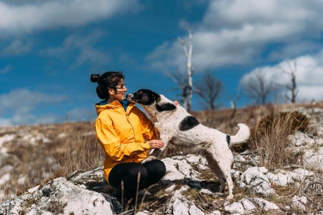 The Ultimate Guide To Vacationing With Your Pet cover picture
