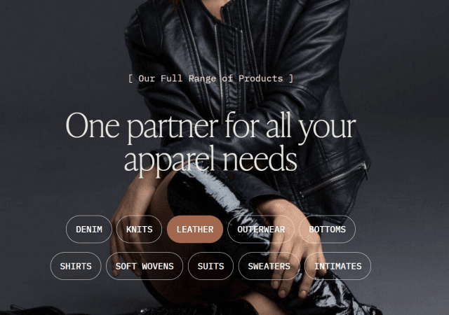 The Allure and Craft of Leather: A Comprehensive Guide cover picture
