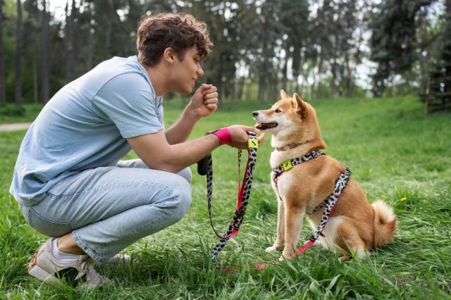 Eco-Friendly Pet Ownership: Zero-Waste Tips for a Greener Pet Lifestyle cover picture