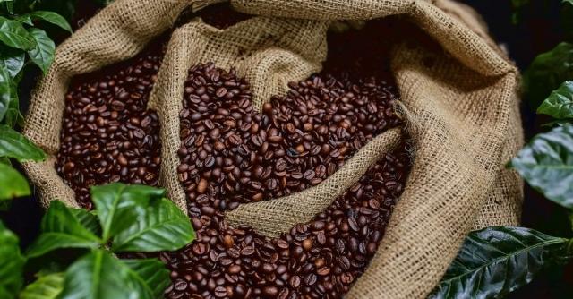 The Truth About 100 Percent Arabica Coffee Beans cover picture