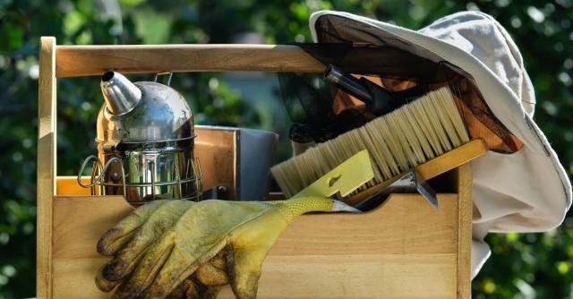 Essential Beekeeping Tools Every Beginner Should Have cover picture