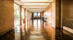 When Floors Start Over: What To Know Before You Strip cover picture