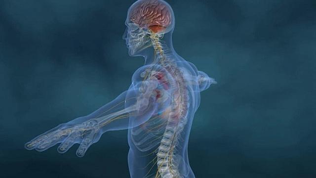 Trauma-Informed Movement: A Gentle Path to Healing the Body & Nervous System cover picture
