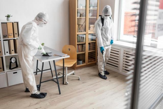 Complete Guide to Mold Remediation Wichita KS cover picture