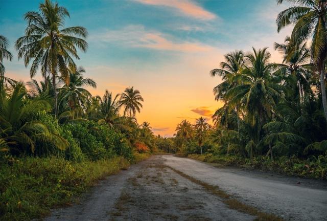 The Sunshine Prescription: How Living in a Tropical Environment Improves Your Mental Health cover picture