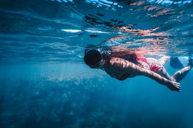 A Window to Another World: Why You Must Go Snorkeling in Key West cover picture