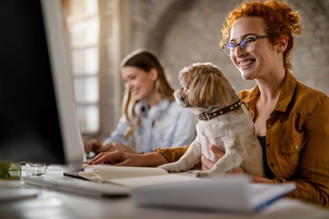 Ideas for Updating Your Office and Your Business cover picture