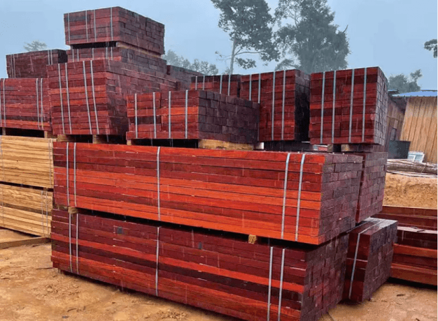 Padouk Wood: The Vibrant Beauty of Exotic Red Timber cover picture