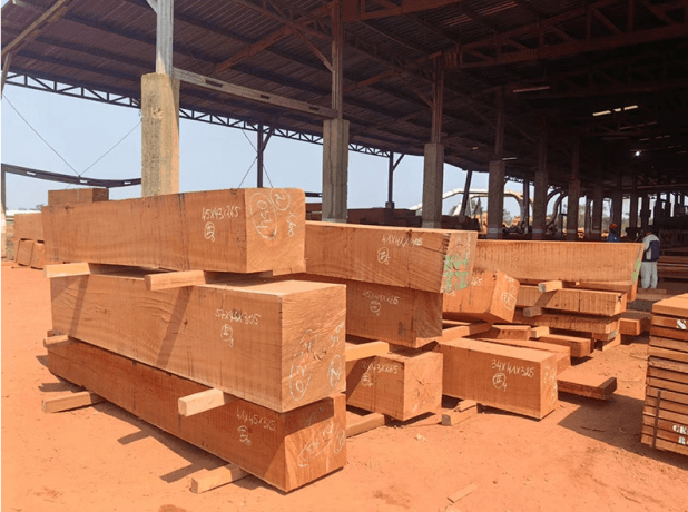 Exploring Sapelli Wood: Properties, Uses, and Comparisons with Other Timbers cover picture