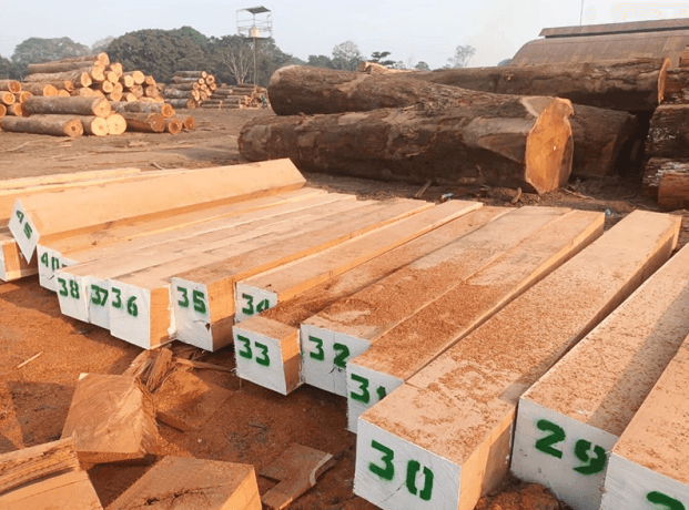 Balsamo Wood: A Timeless Treasure from the Tropics cover picture