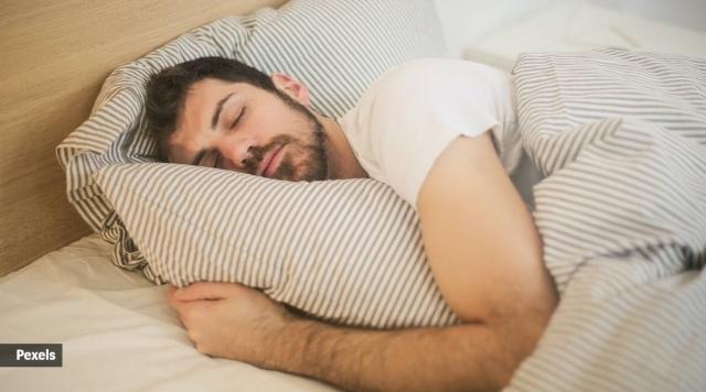 The Ultimate Guide to Bedding cover picture