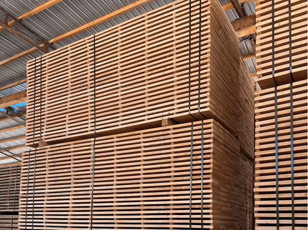 Okoume Wood: A Complete Guide to Its Properties, Uses, and Comparisons cover picture