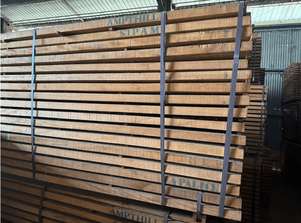 The Comprehensive Guide to Bilinga Wood: Properties, Uses, and Market Insights cover picture