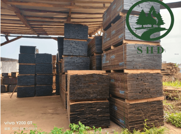 Wenge Wood: The Dark Elegance Transforming Modern Interiors cover picture