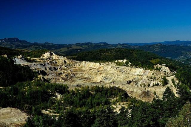 What is the Relationship Between Environment and Economy? cover picture