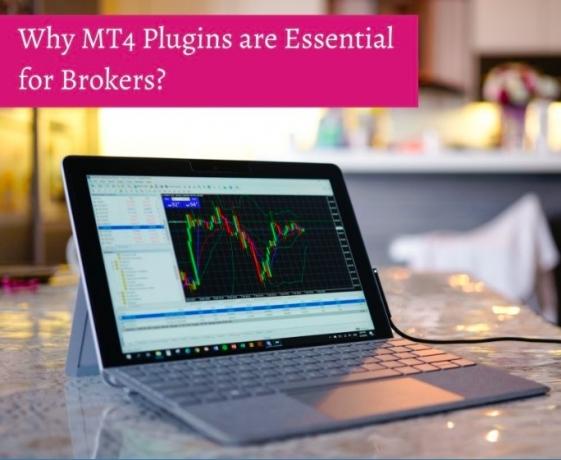 Best MT4 Plugins You Should Try cover picture